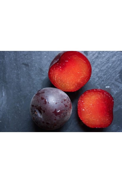 Абрикос Чорний Оксамит - помаранчева мякоть плоду